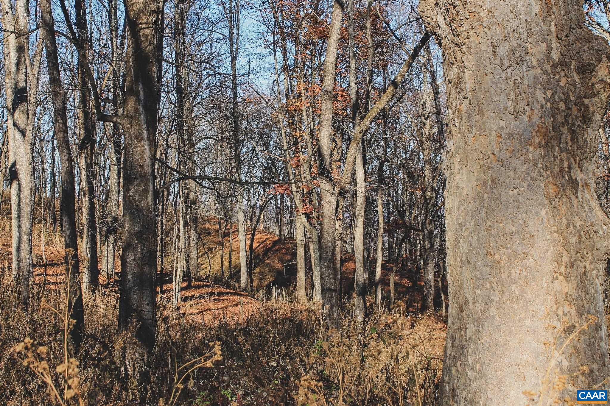 NONE AVAILABLE - Land