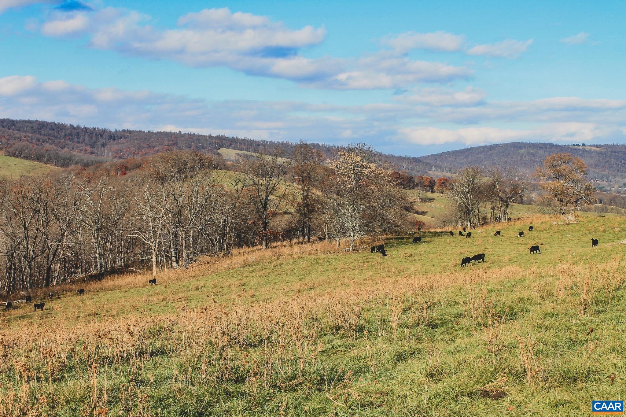 NONE AVAILABLE - Land