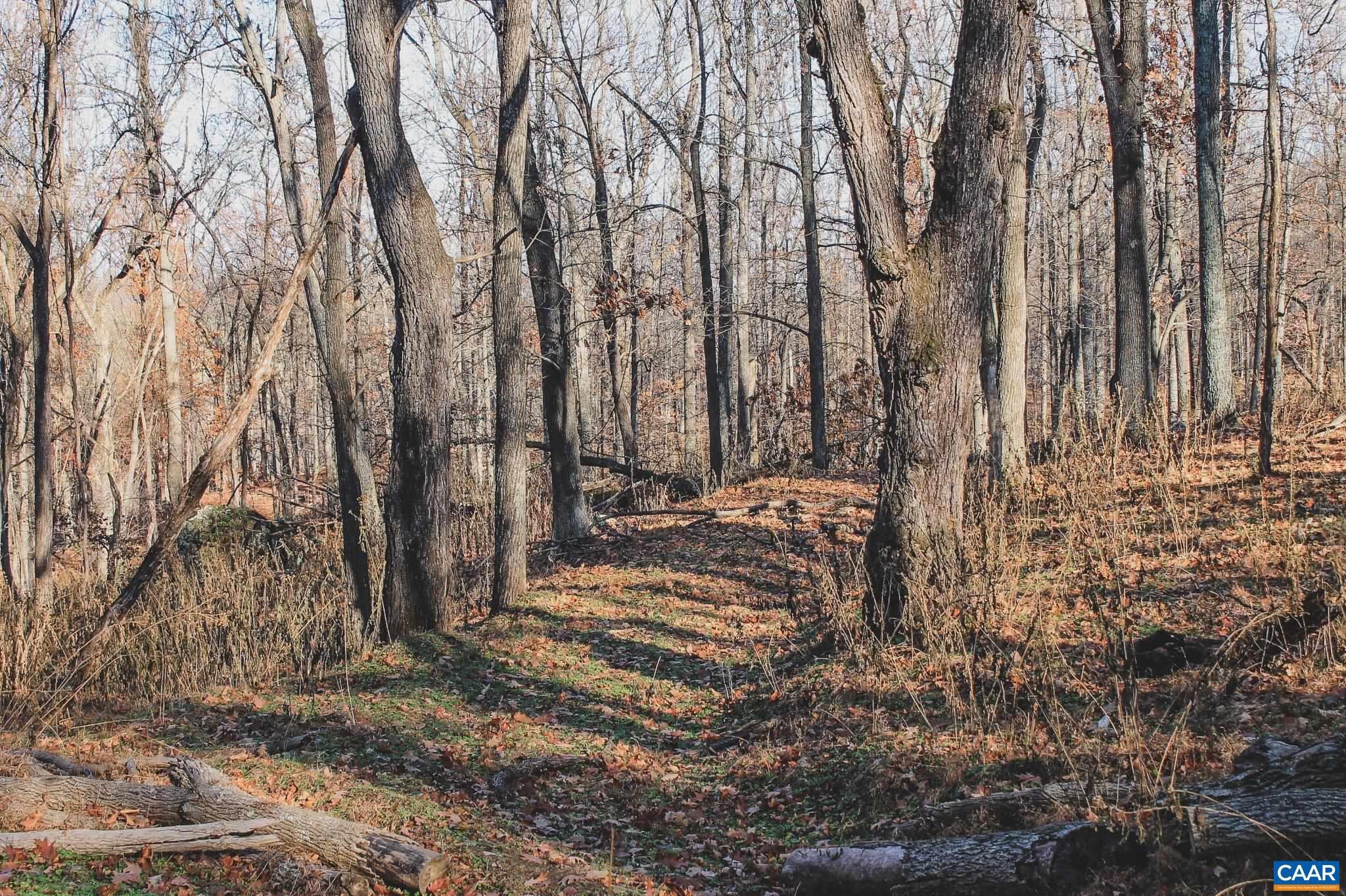 NONE AVAILABLE - Land