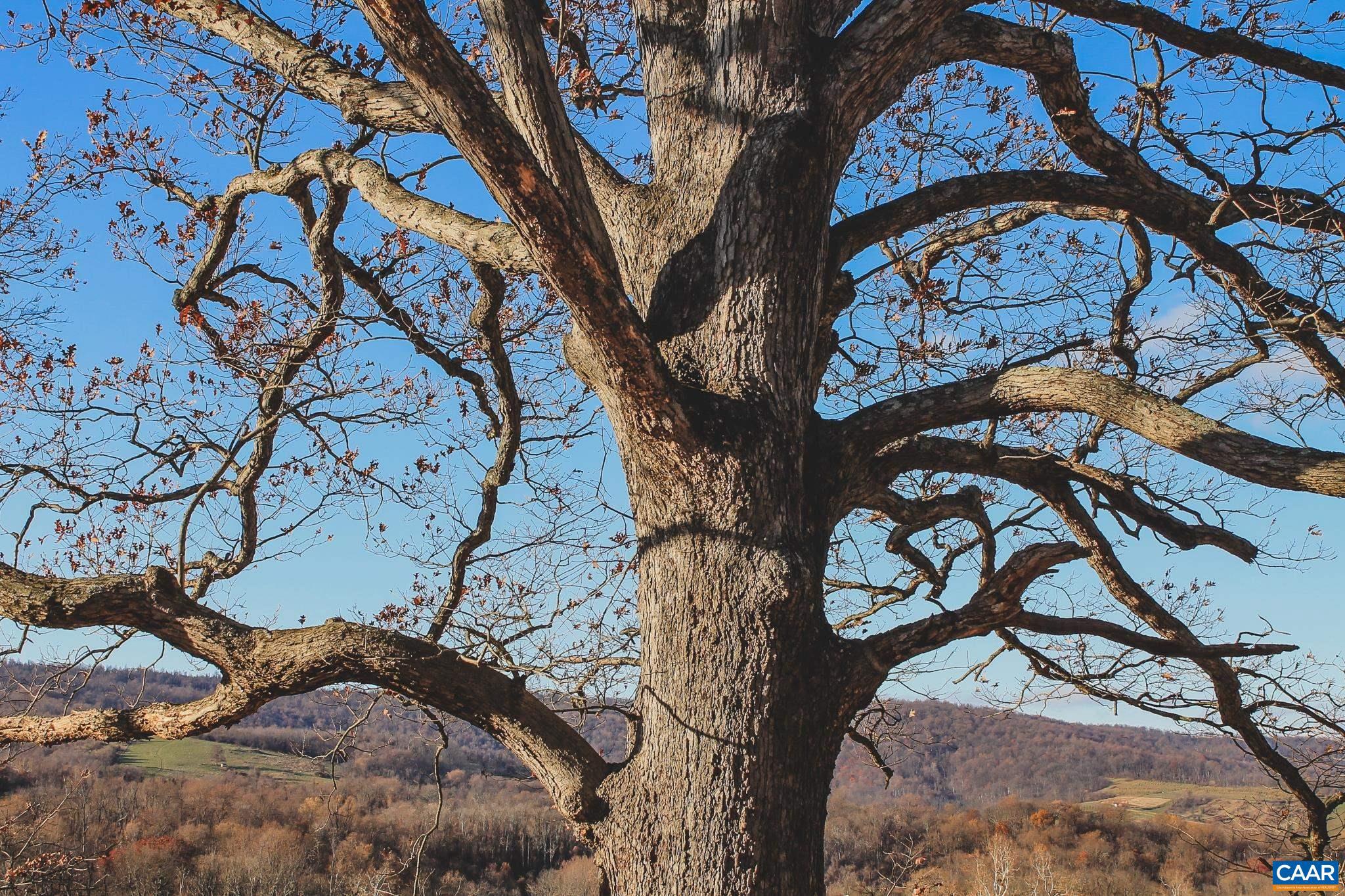 NONE AVAILABLE - Land