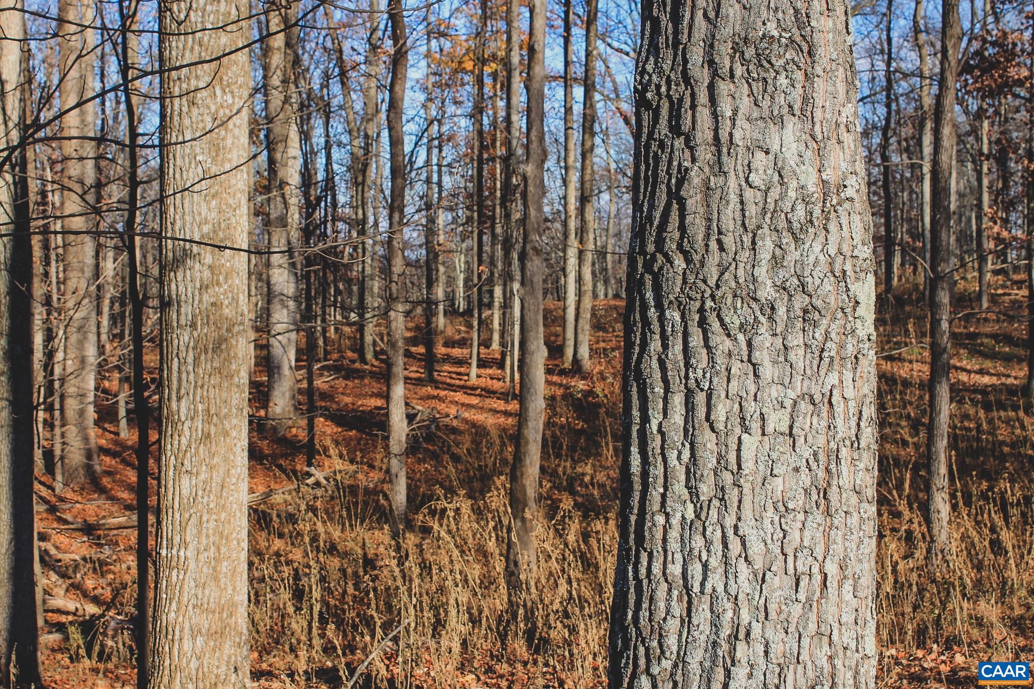 NONE AVAILABLE - Land