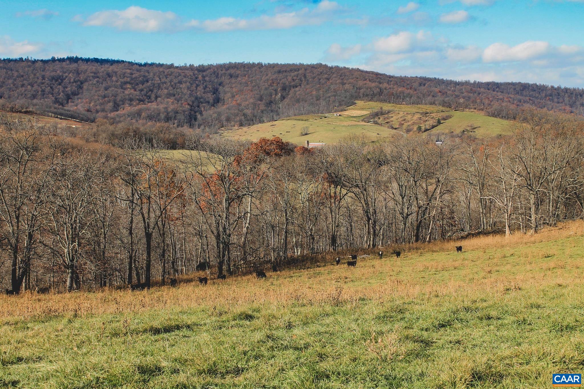 NONE AVAILABLE - Land