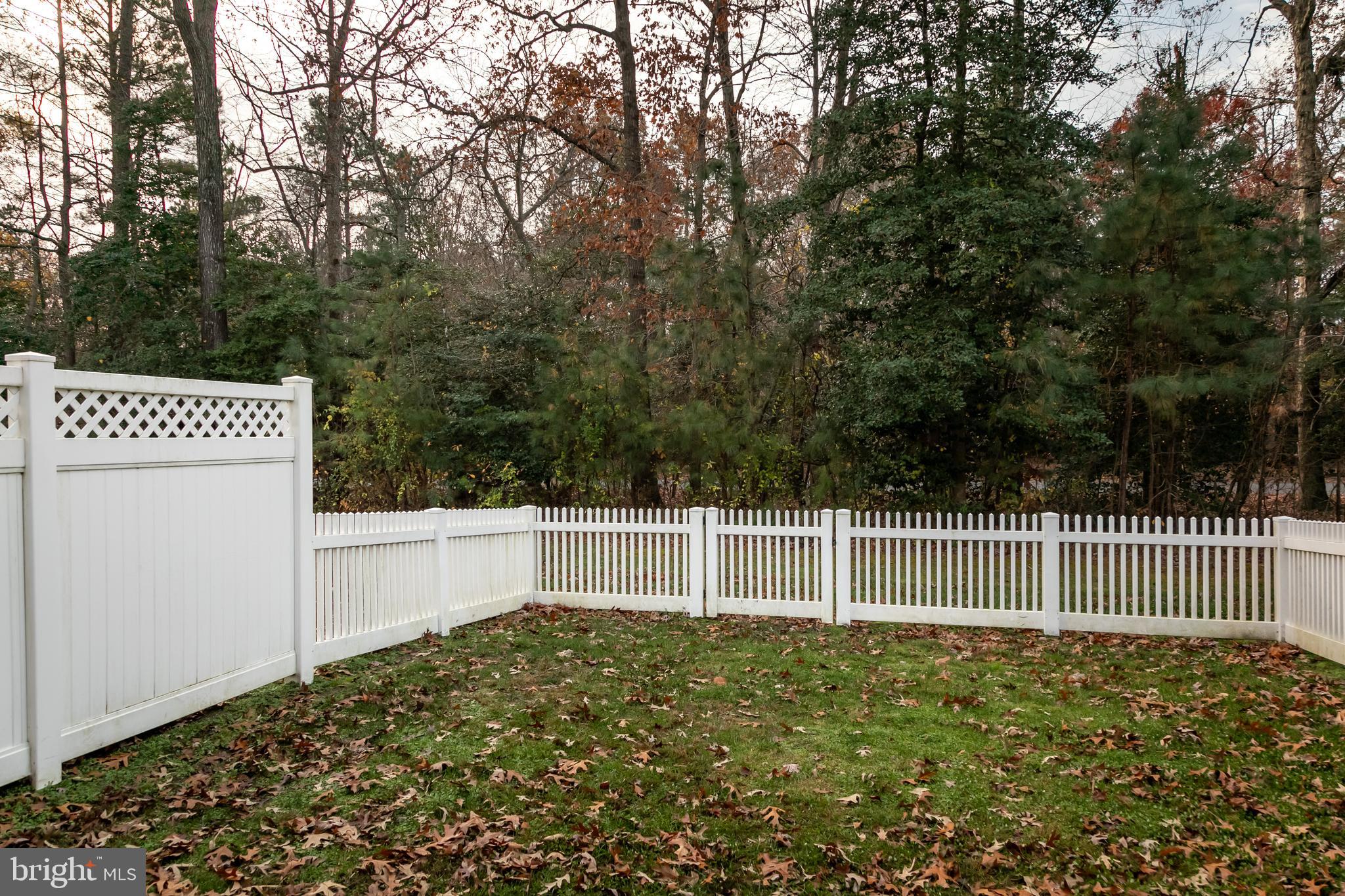 VILLAGES AT PARSONS LAKE - Residential