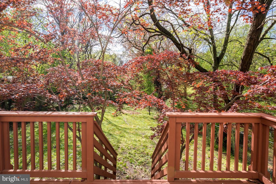 MT RAINIER - Residential Lease