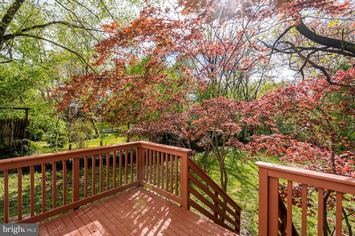 MT RAINIER - Residential Lease