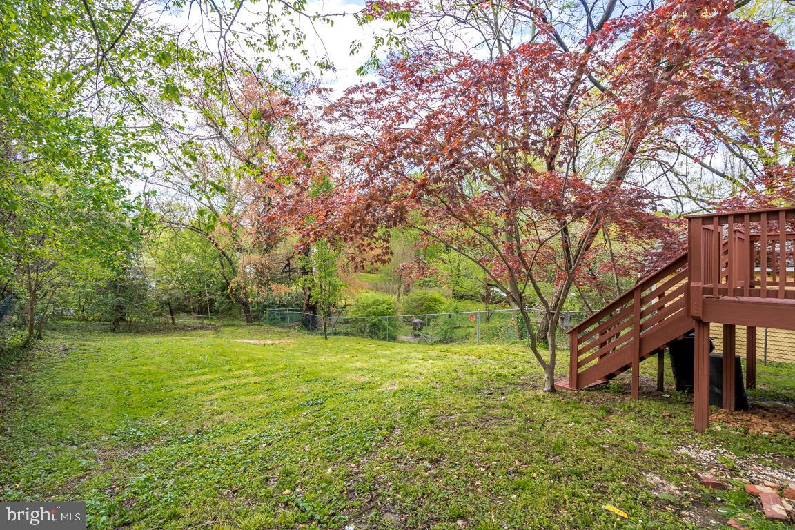 MT RAINIER - Residential Lease