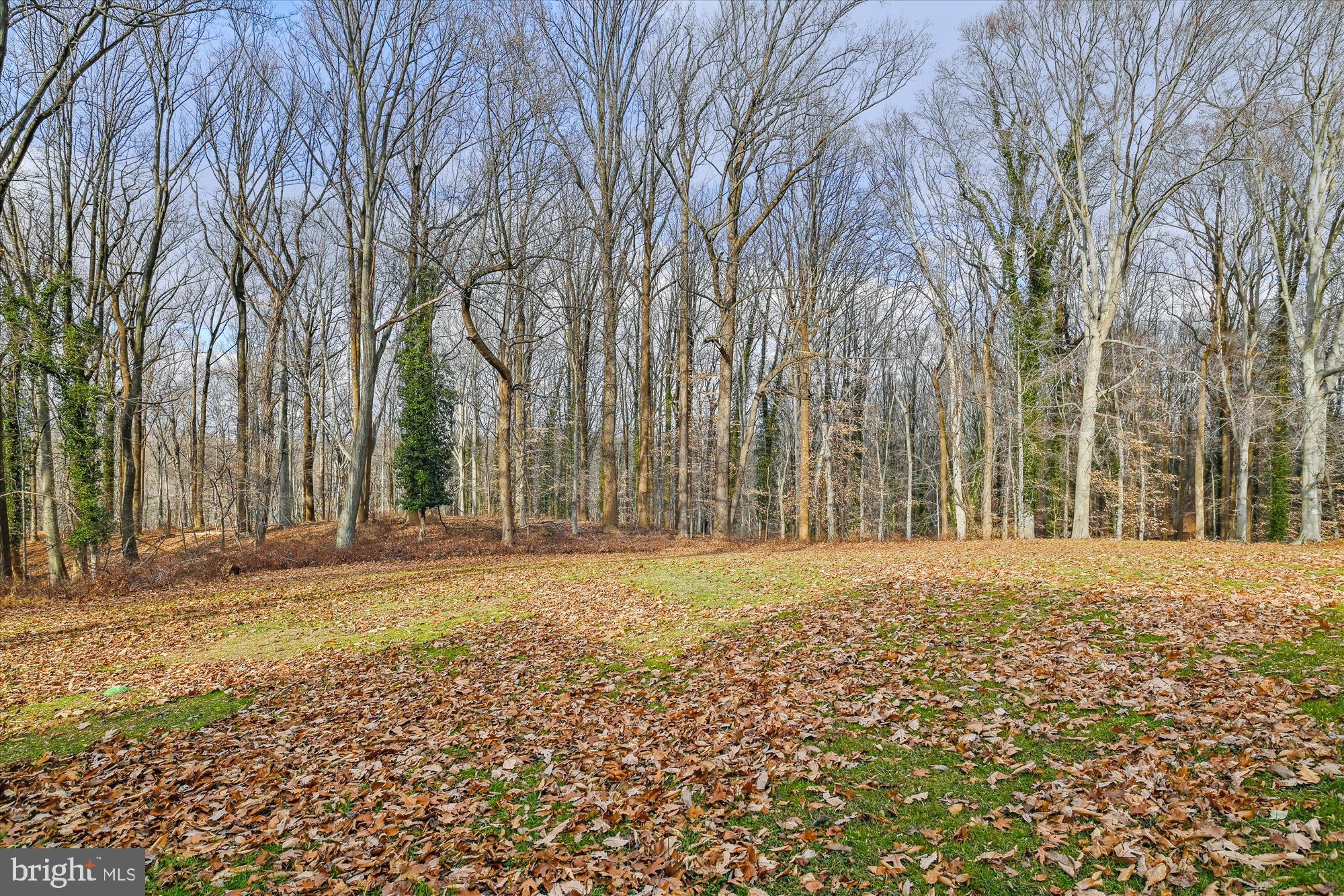 AVALON - Residential