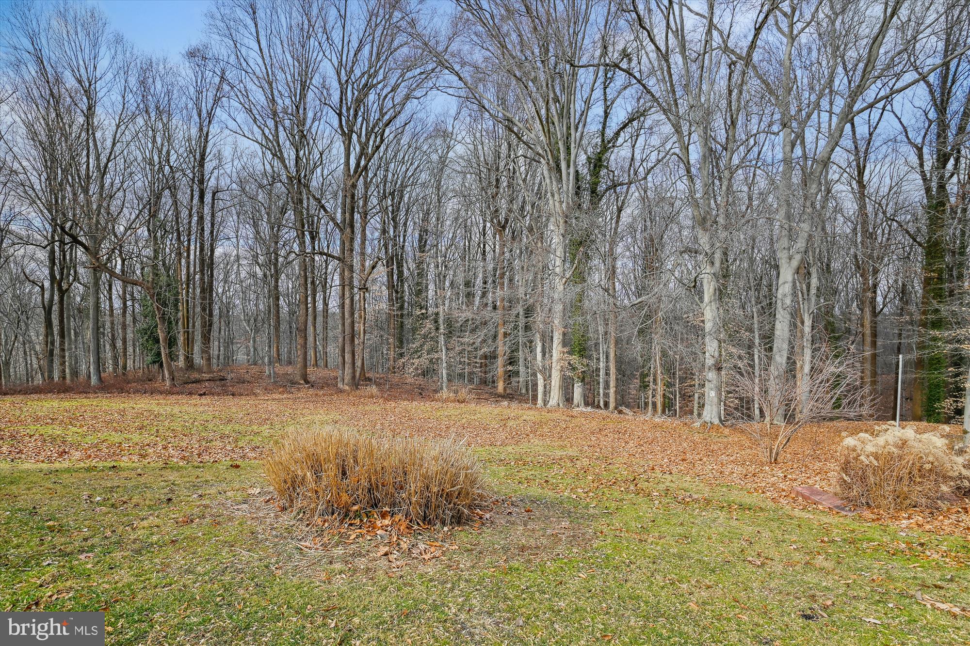 AVALON - Residential