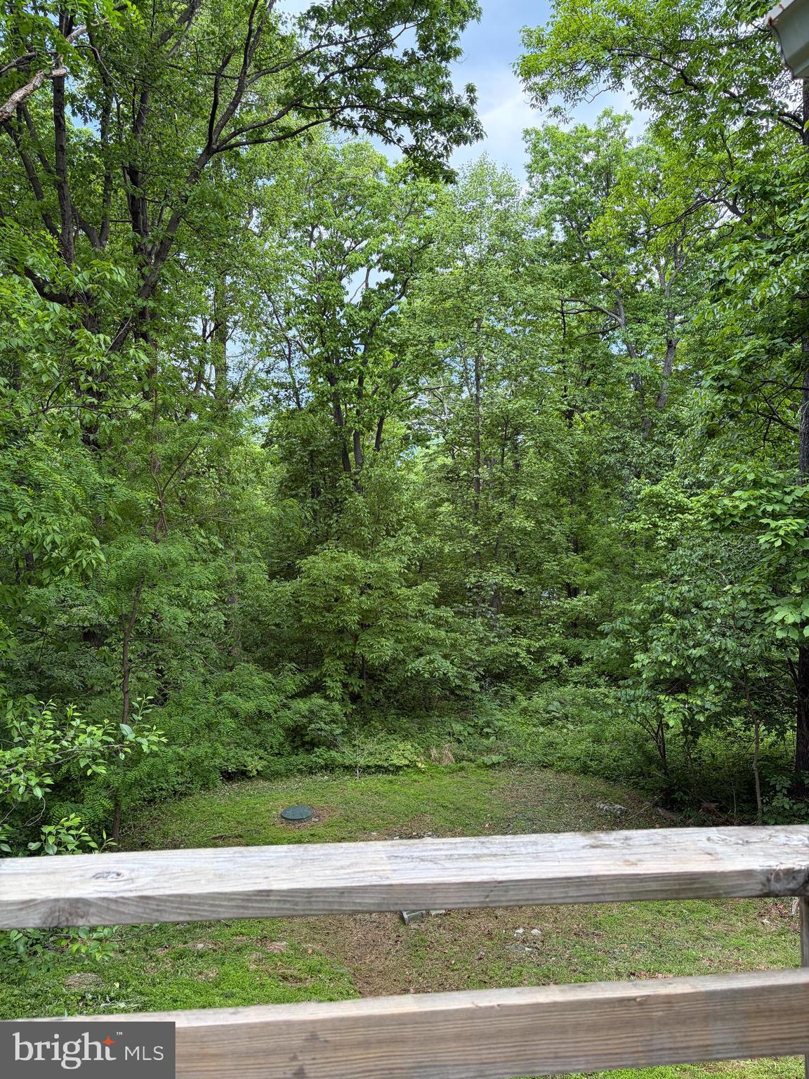 BLUE MOUNTAIN - Residential