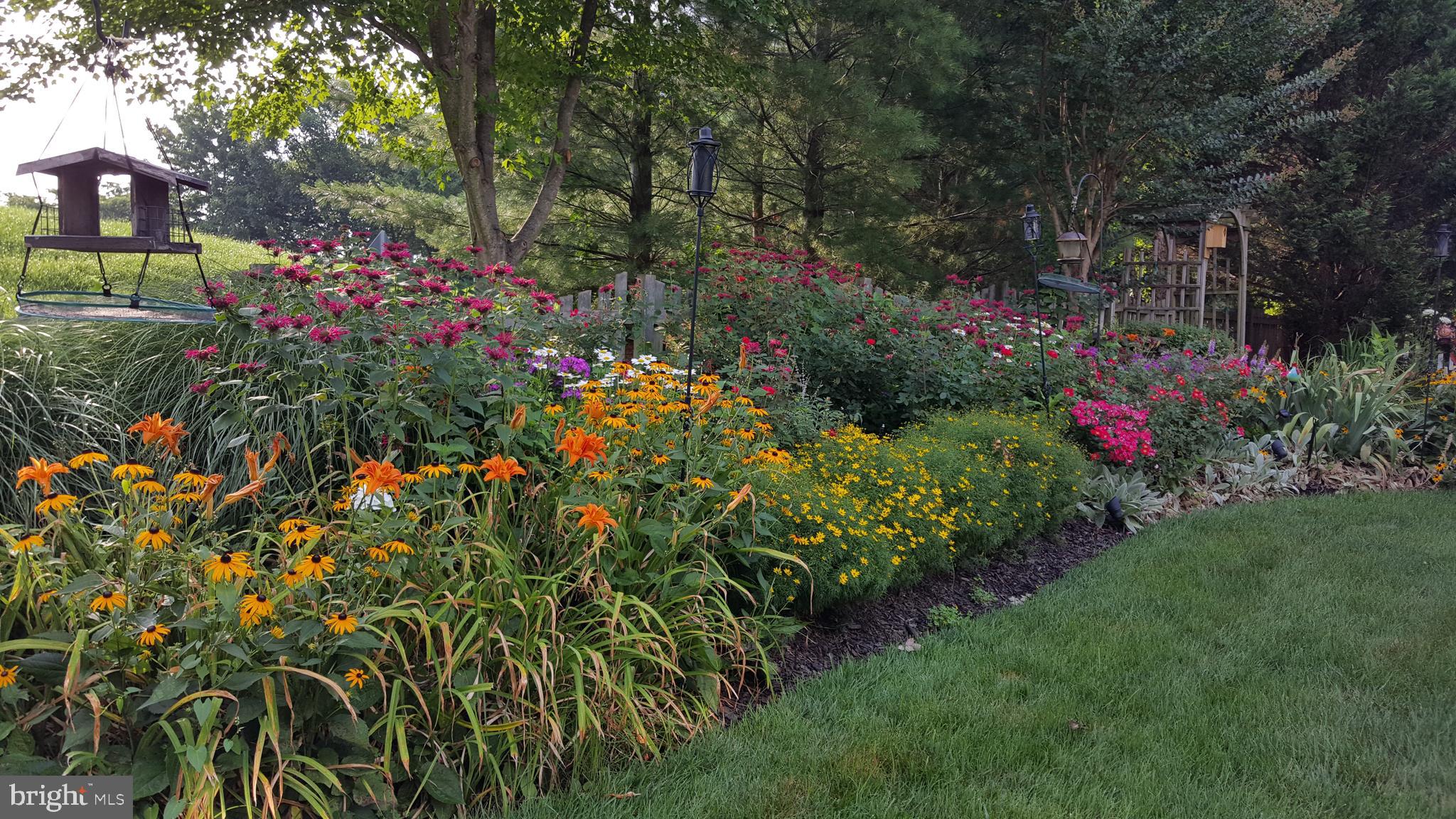 ASHBURN FARM - Residential