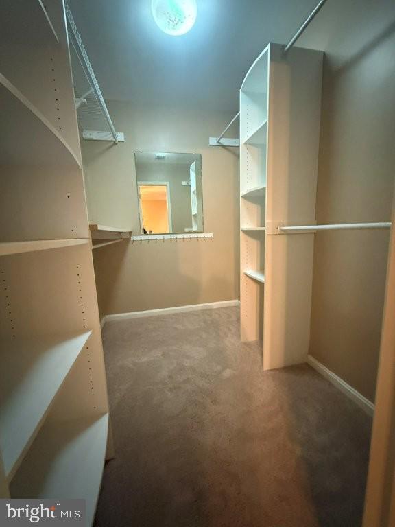 SARATOGA - Residential Lease