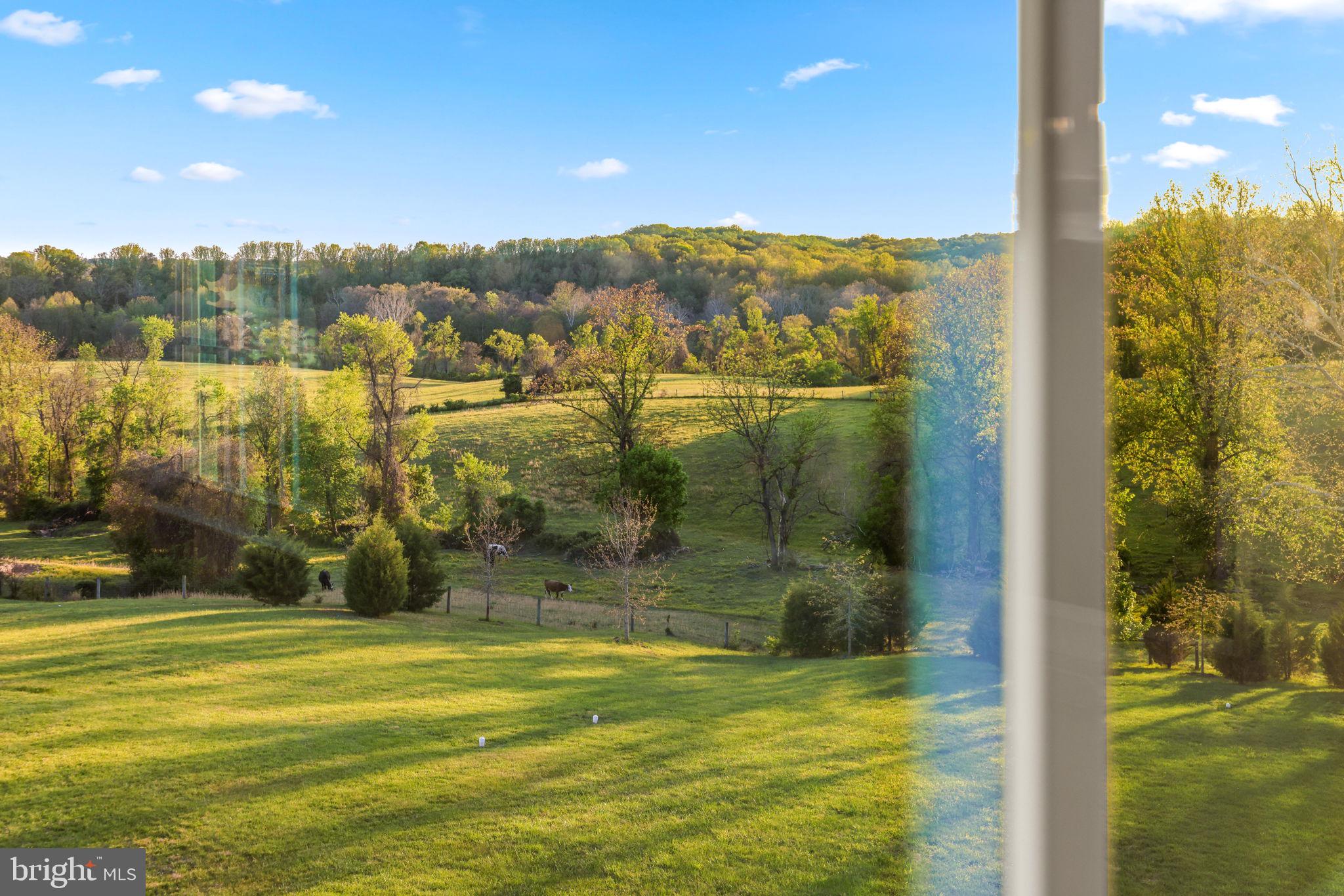 THE ESTATES AT MILL CREEK - Residential