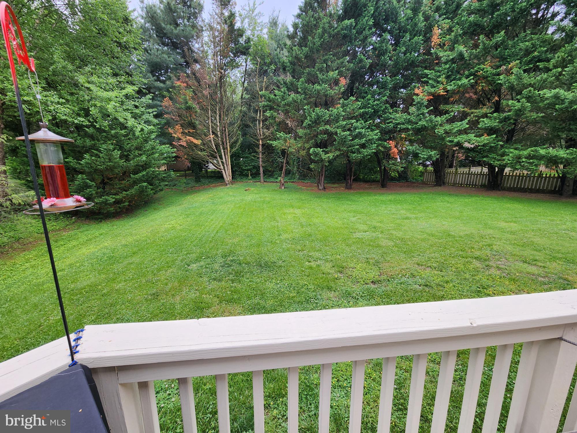 109 FREDERICK DR