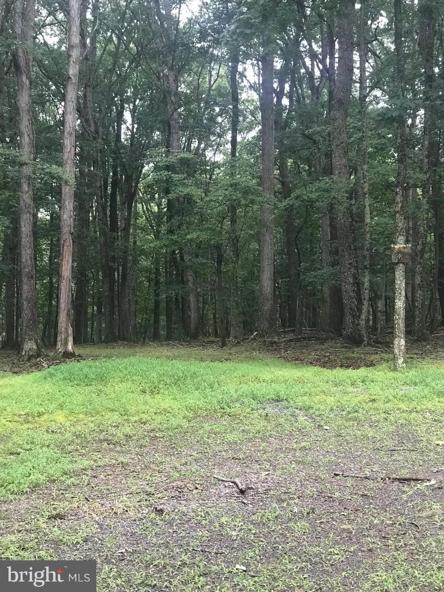 BEAUTIFUL, mostly wooded, level, private building lot. Perfect building site for that cabin or residential house you've always wanted. This lot has an approved perc test.  Located in a community with well maintained roads and with gated access.  Summertime on the river!! This lovely lot has Cacapon River access providing bath house, canoe storage, picnic tables and grills for your enjoyment. You'll enjoy fishing, swimming, tubing and canoeing.  A must see.