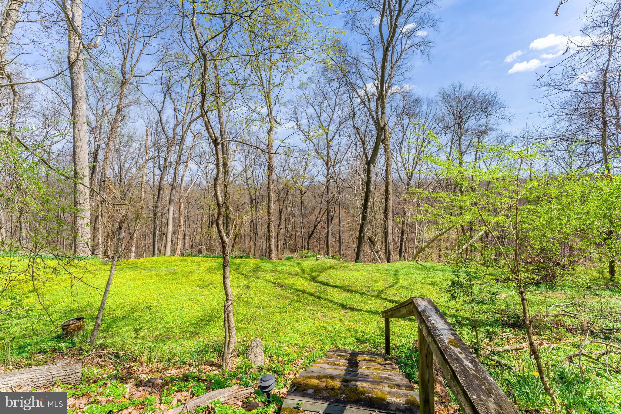 CHINQUAPIN - Residential