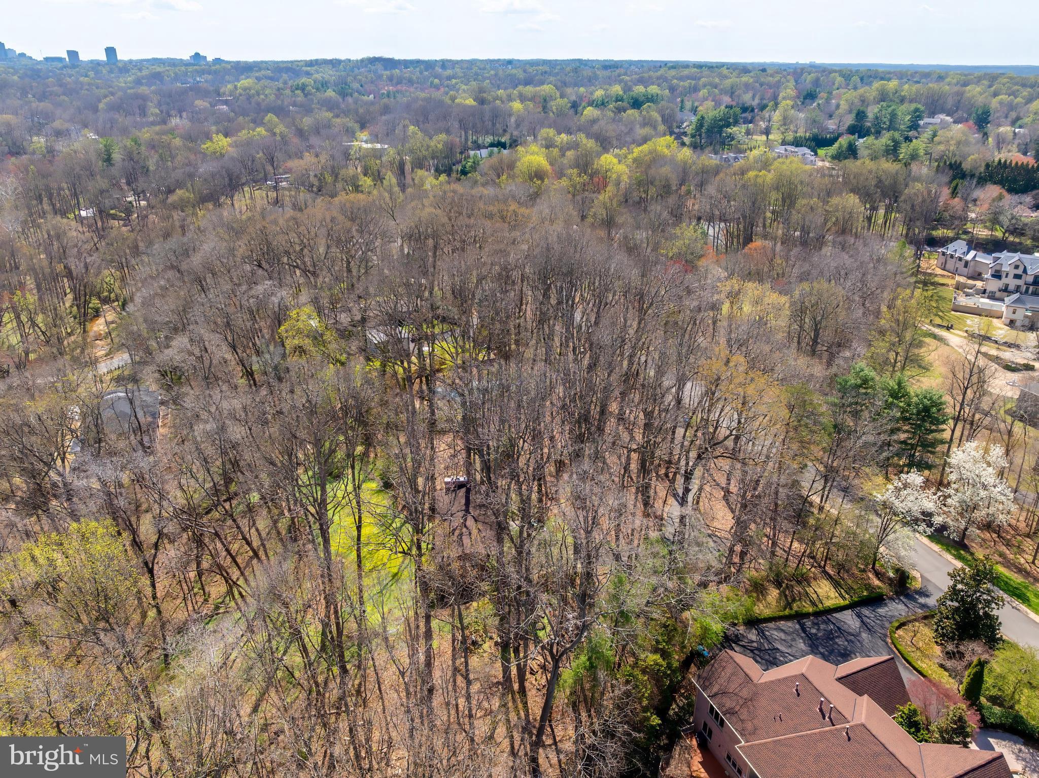 CHINQUAPIN - Residential