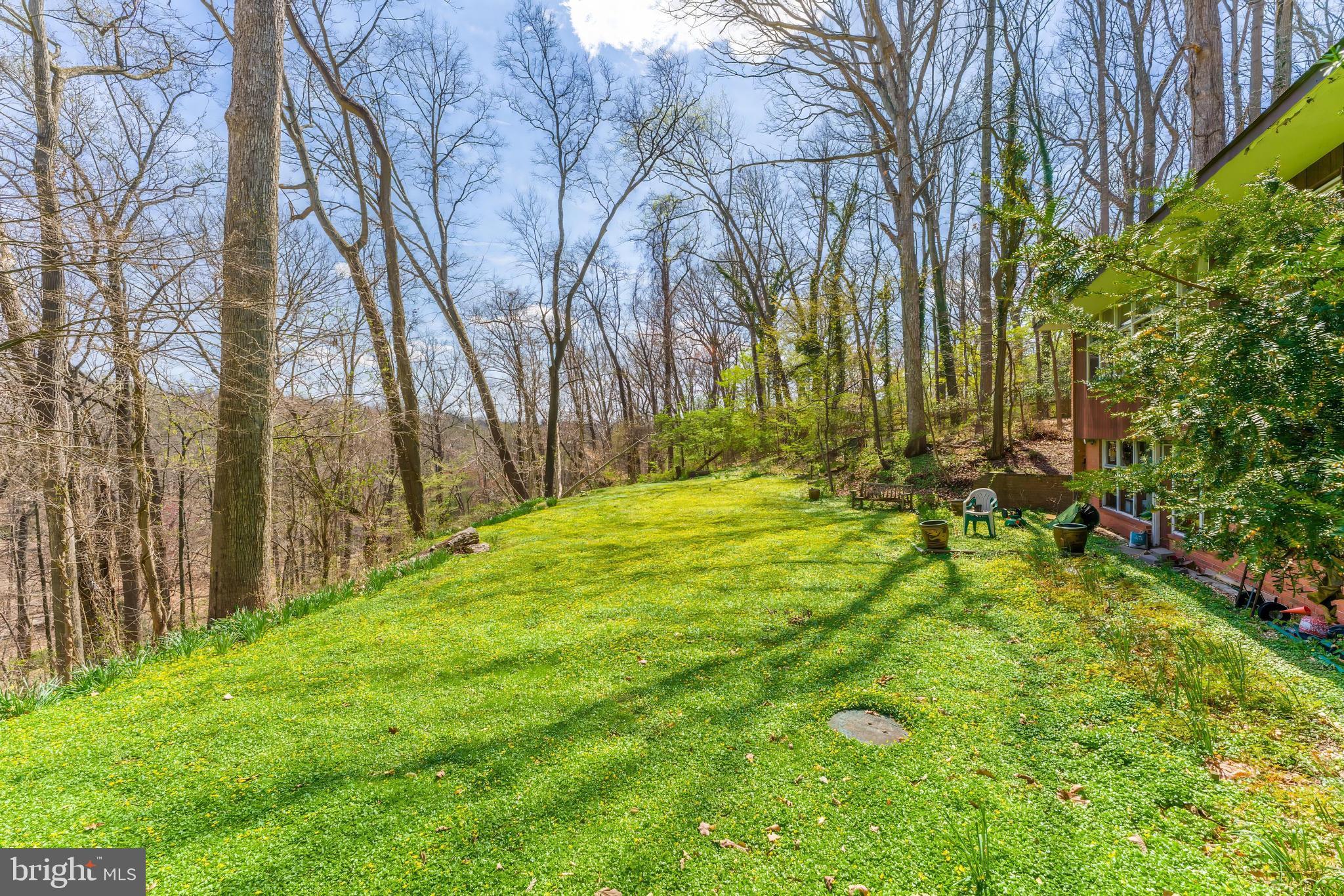 CHINQUAPIN - Residential