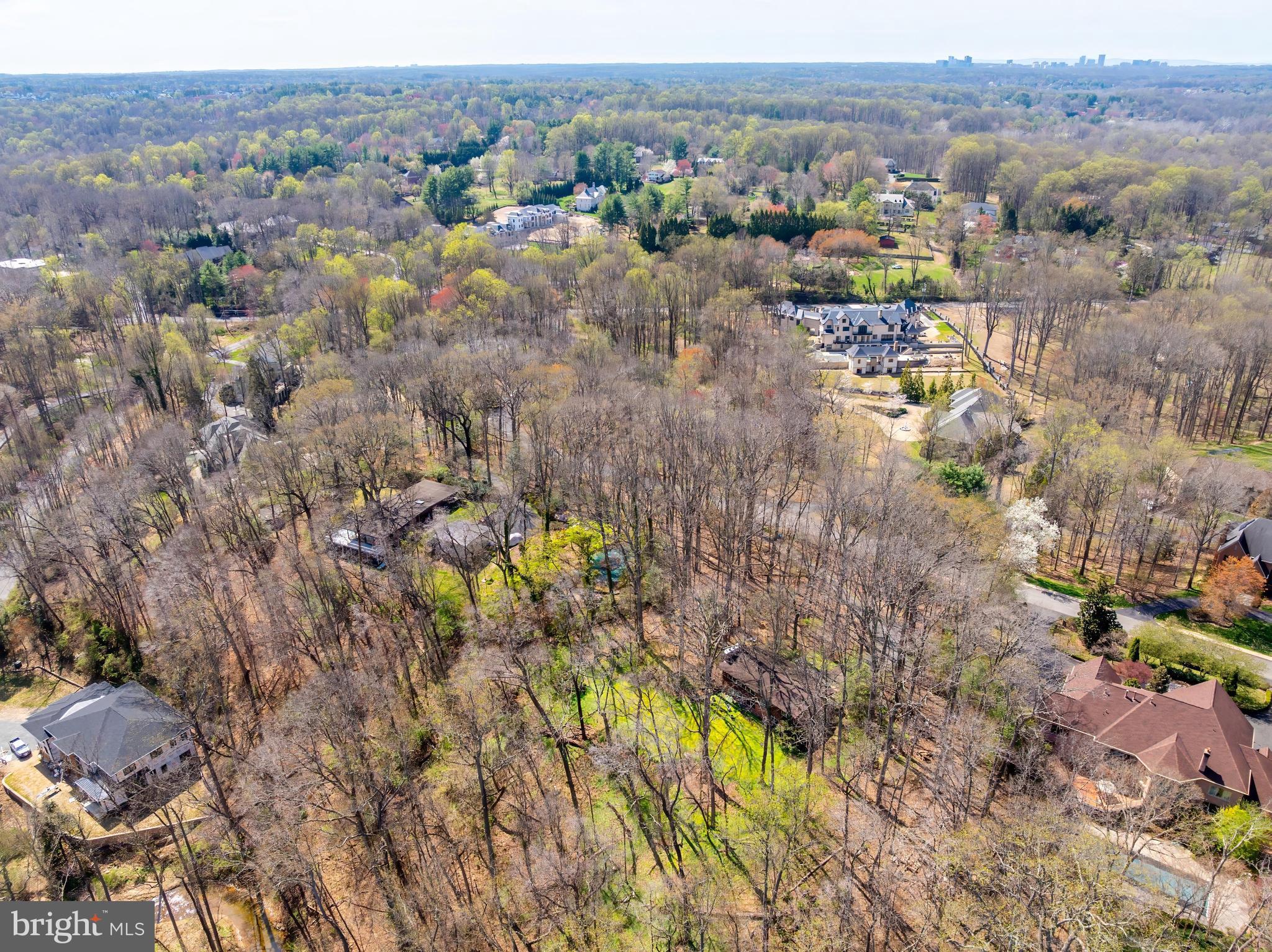 CHINQUAPIN - Residential