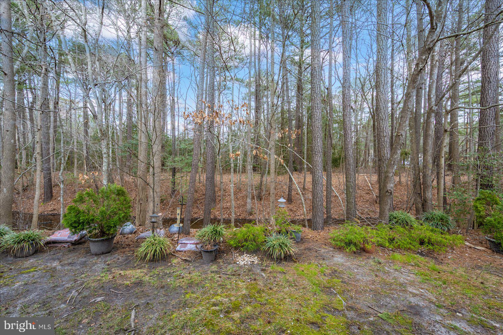 OCEAN PINES - THE PARKE - Residential