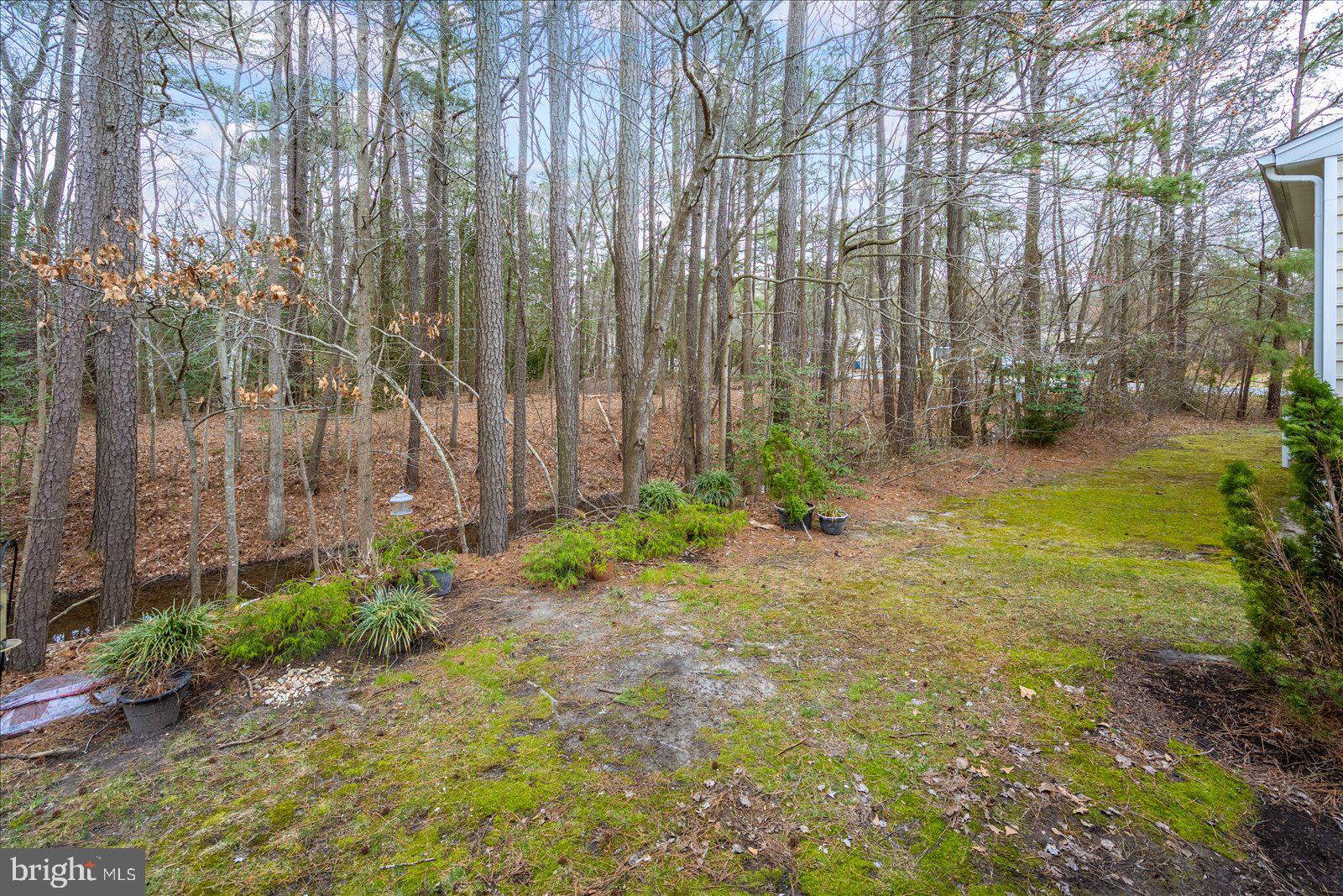 OCEAN PINES - THE PARKE - Residential