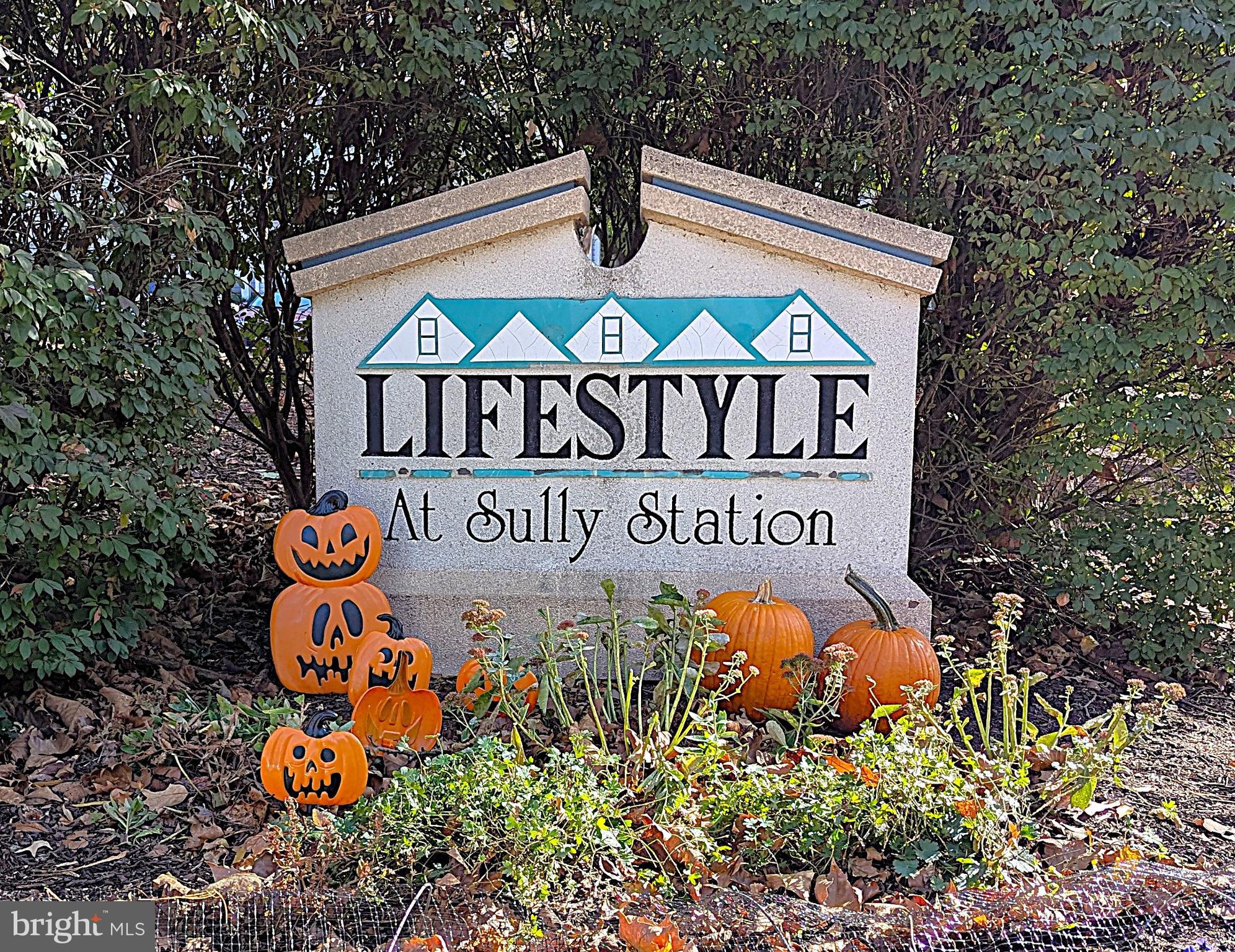 LIFESTYLE AT SULLY STATION - Residential