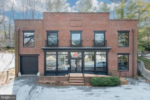 232 CONESTOGA ROAD WAYNE PA 19087