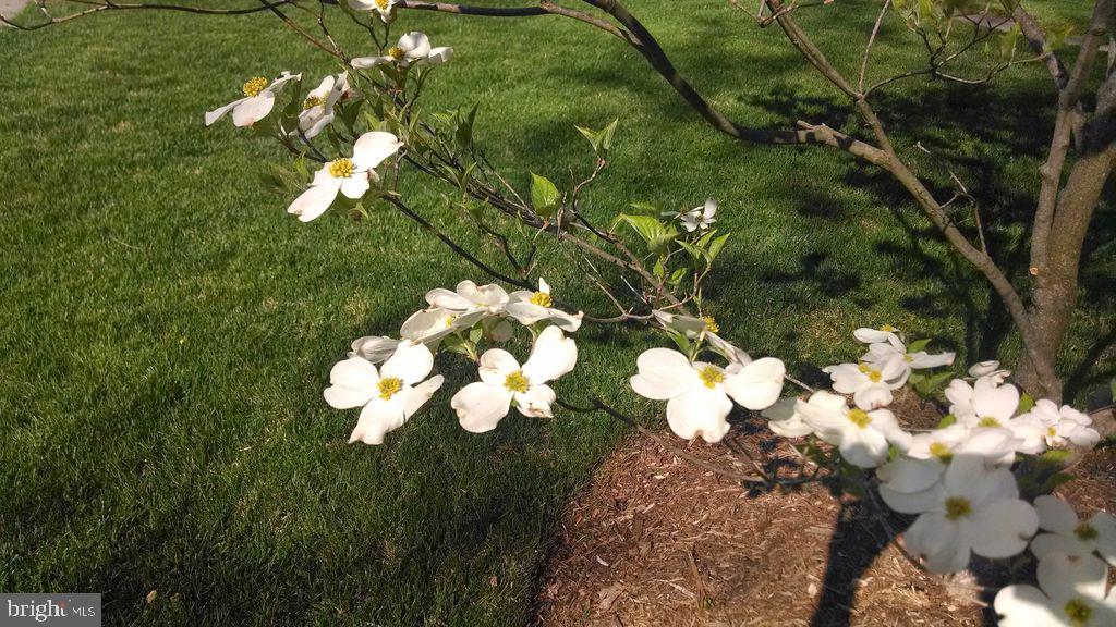 KENWOOD PARK - Residential Lease