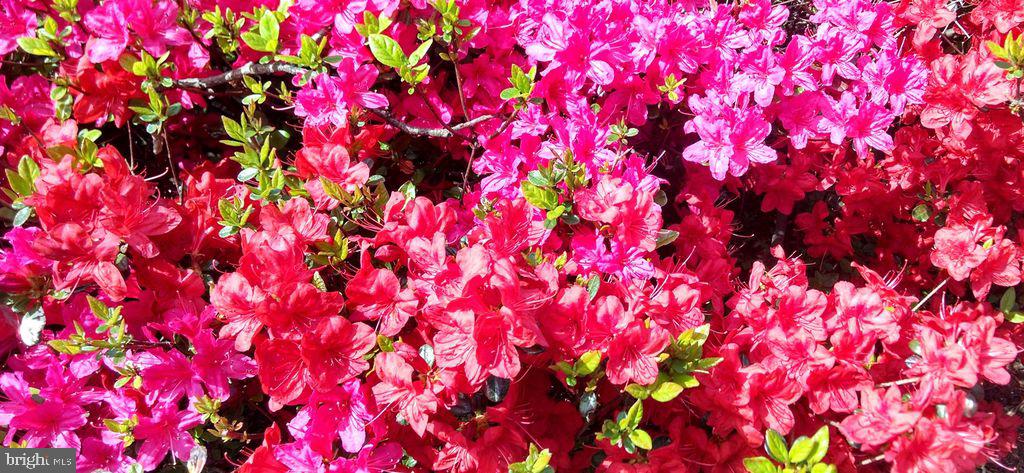 KENWOOD PARK - Residential Lease