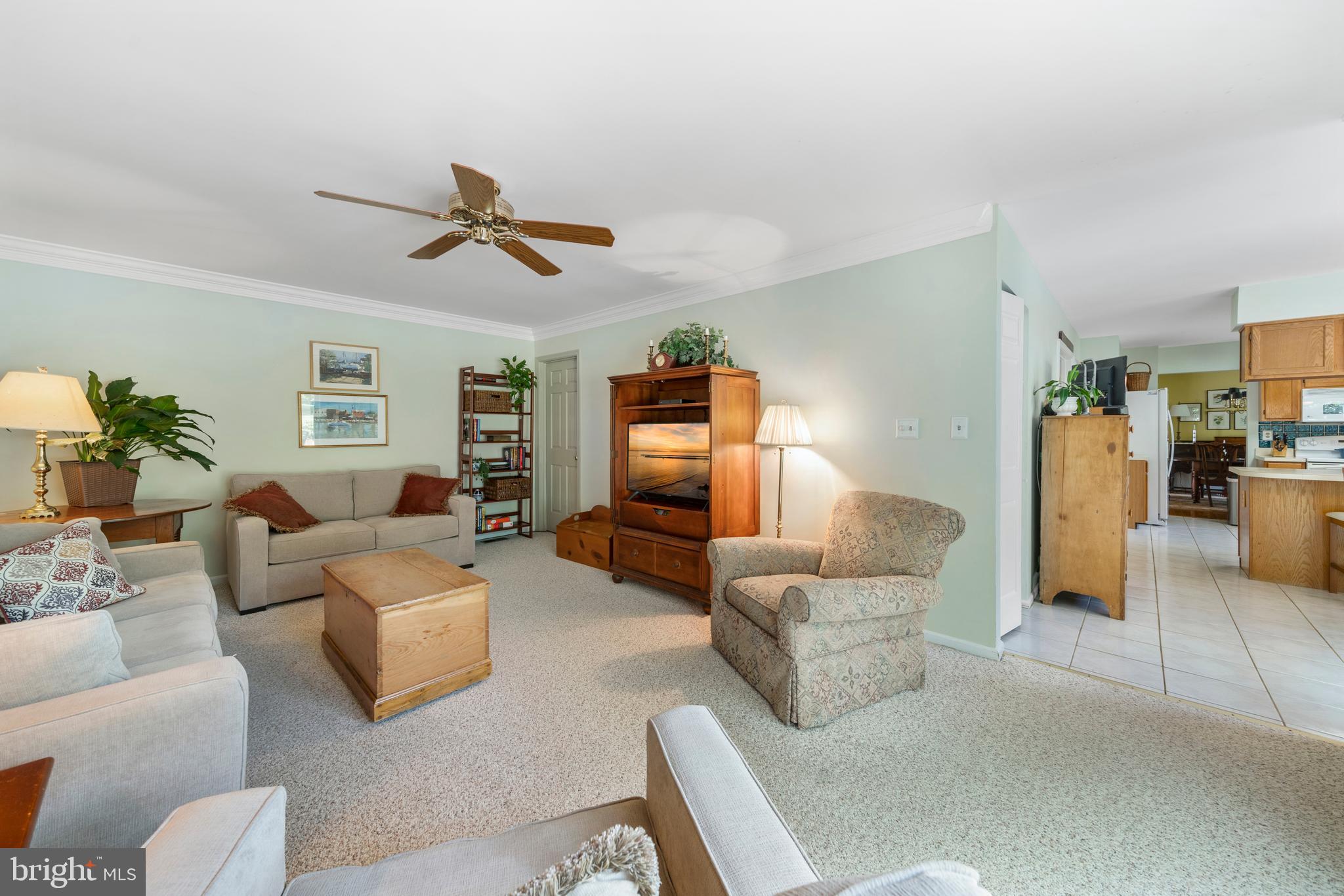 RIVA TRACE - Residential