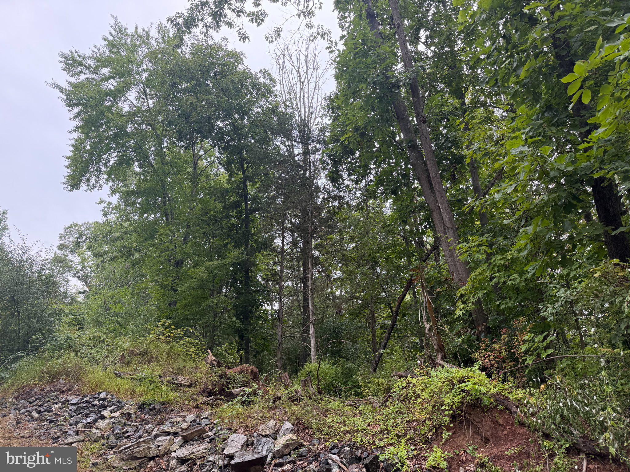 00 HILL ROAD
