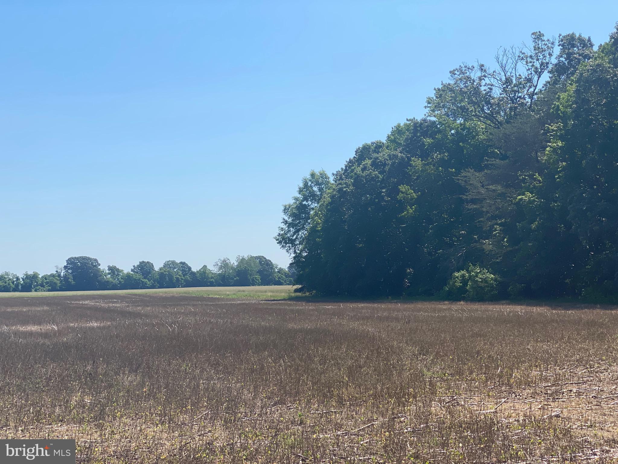 CENTREVILLE - Residential