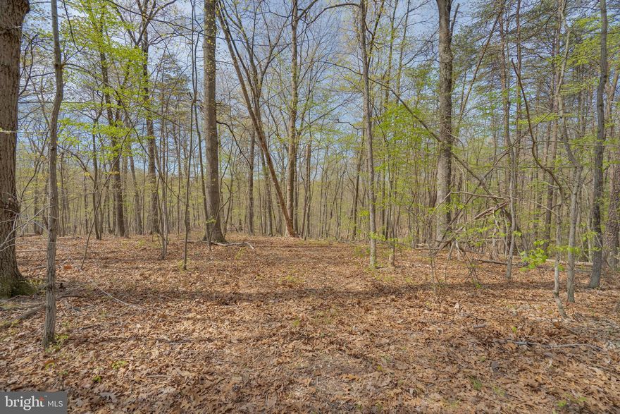 Beautiful, quiet lot located off of Panther Lane. Previous owner had perc test completed for well and 3br septic.