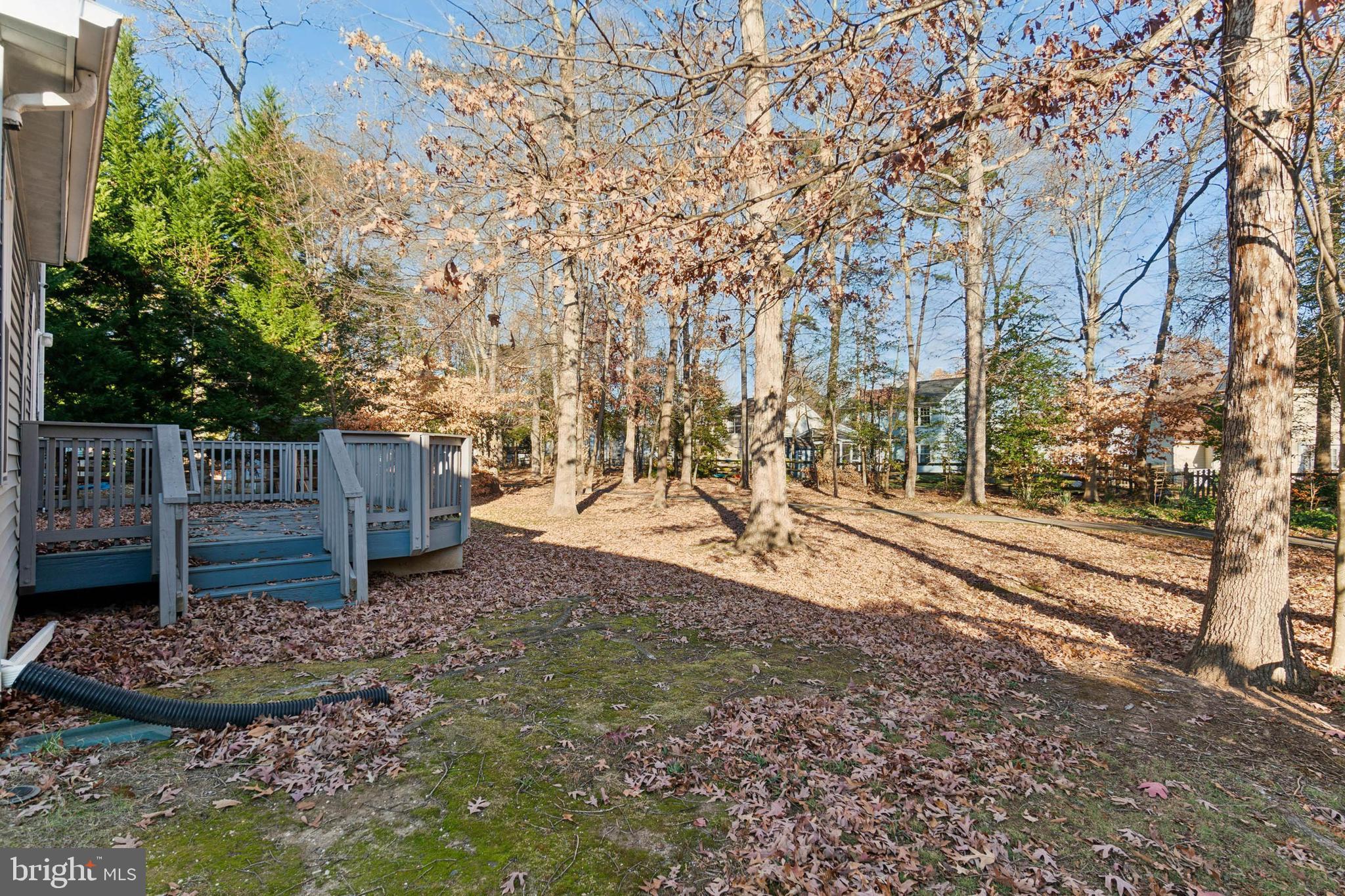 HAMPSHIRE - Residential Lease