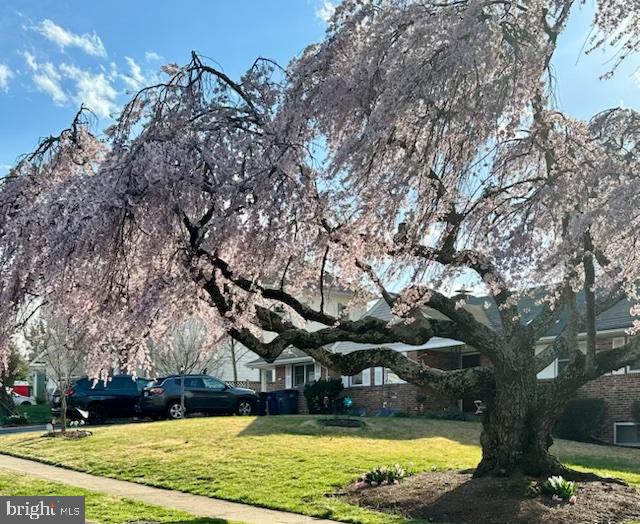 EL NIDO ESTATES - Residential