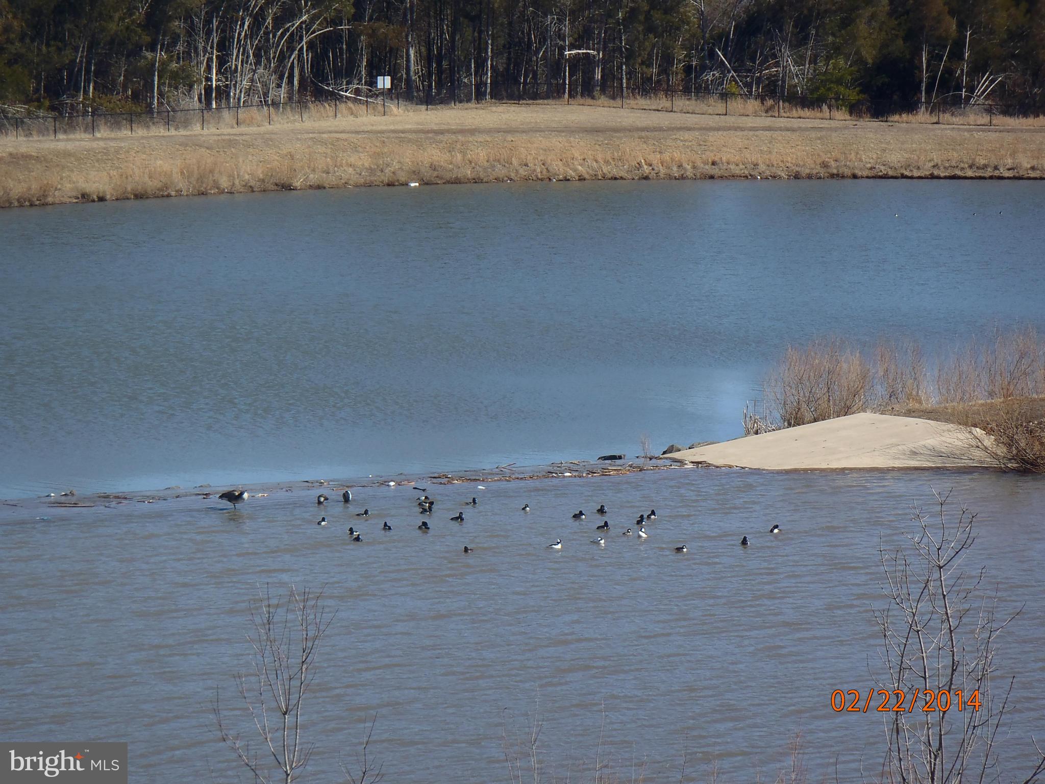 SOUTH MARKET - Residential