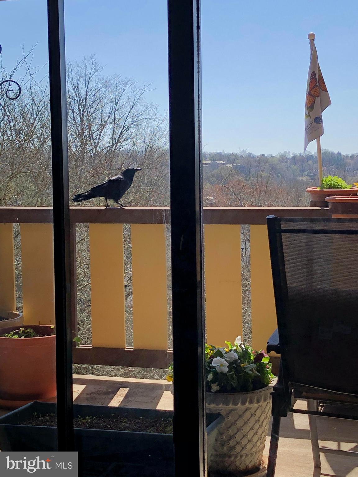 VILLAGE OF CROSS KEYS - Residential