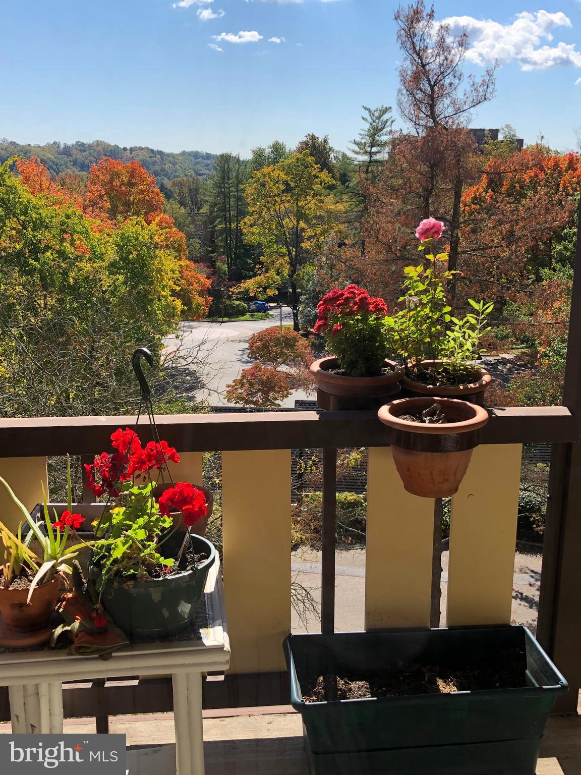 VILLAGE OF CROSS KEYS - Residential