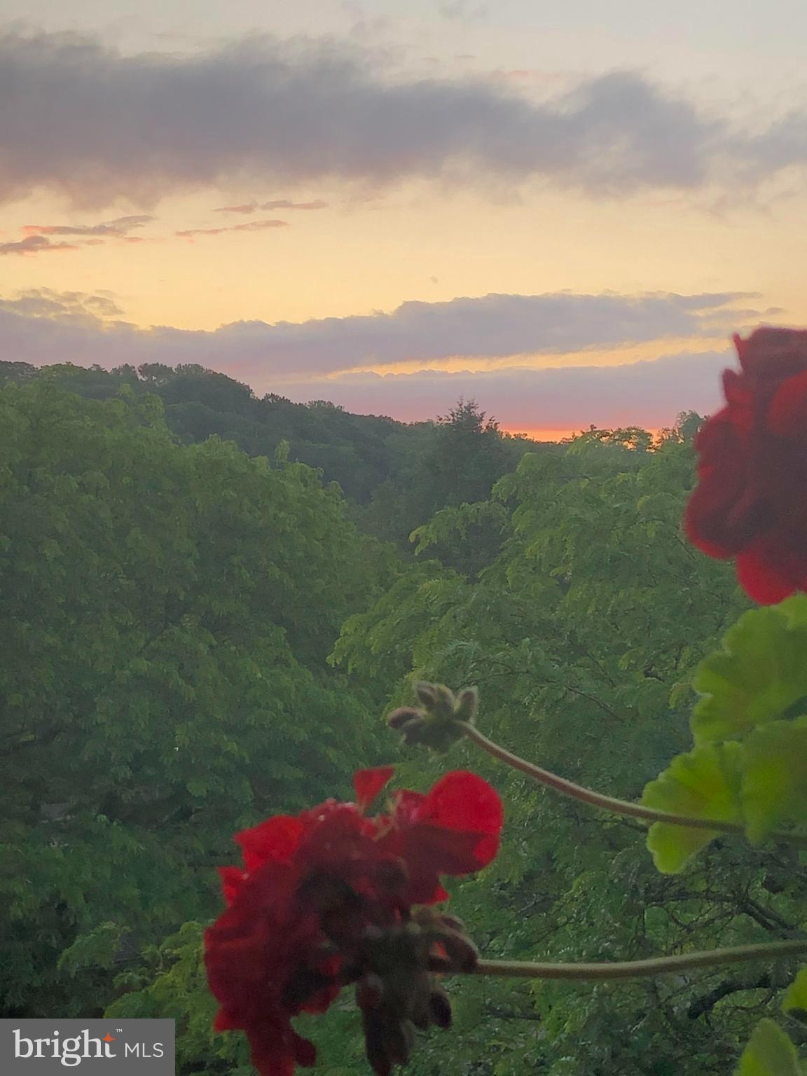 VILLAGE OF CROSS KEYS - Residential