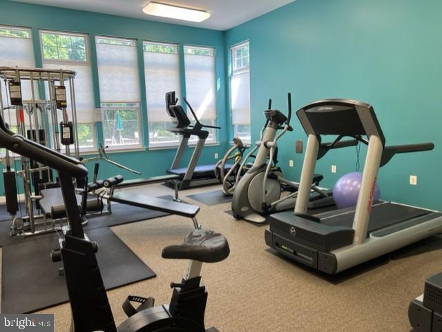 LAKELAND RIDGE - Residential