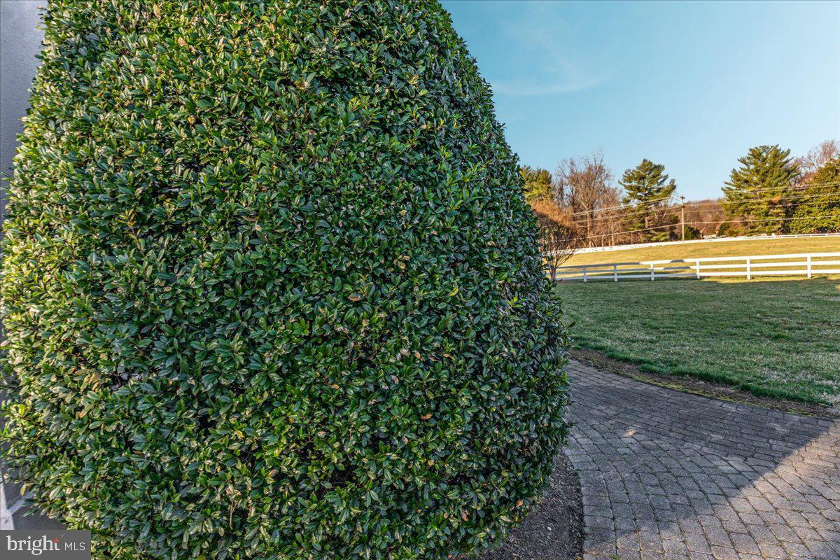 NEAR CLIFTON - Residential