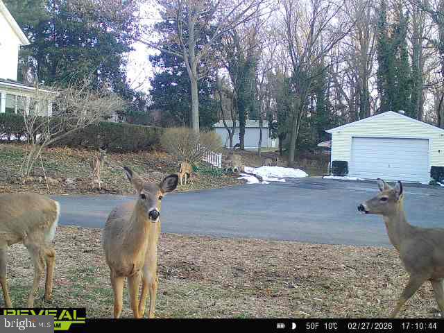 BETTERTON - Residential