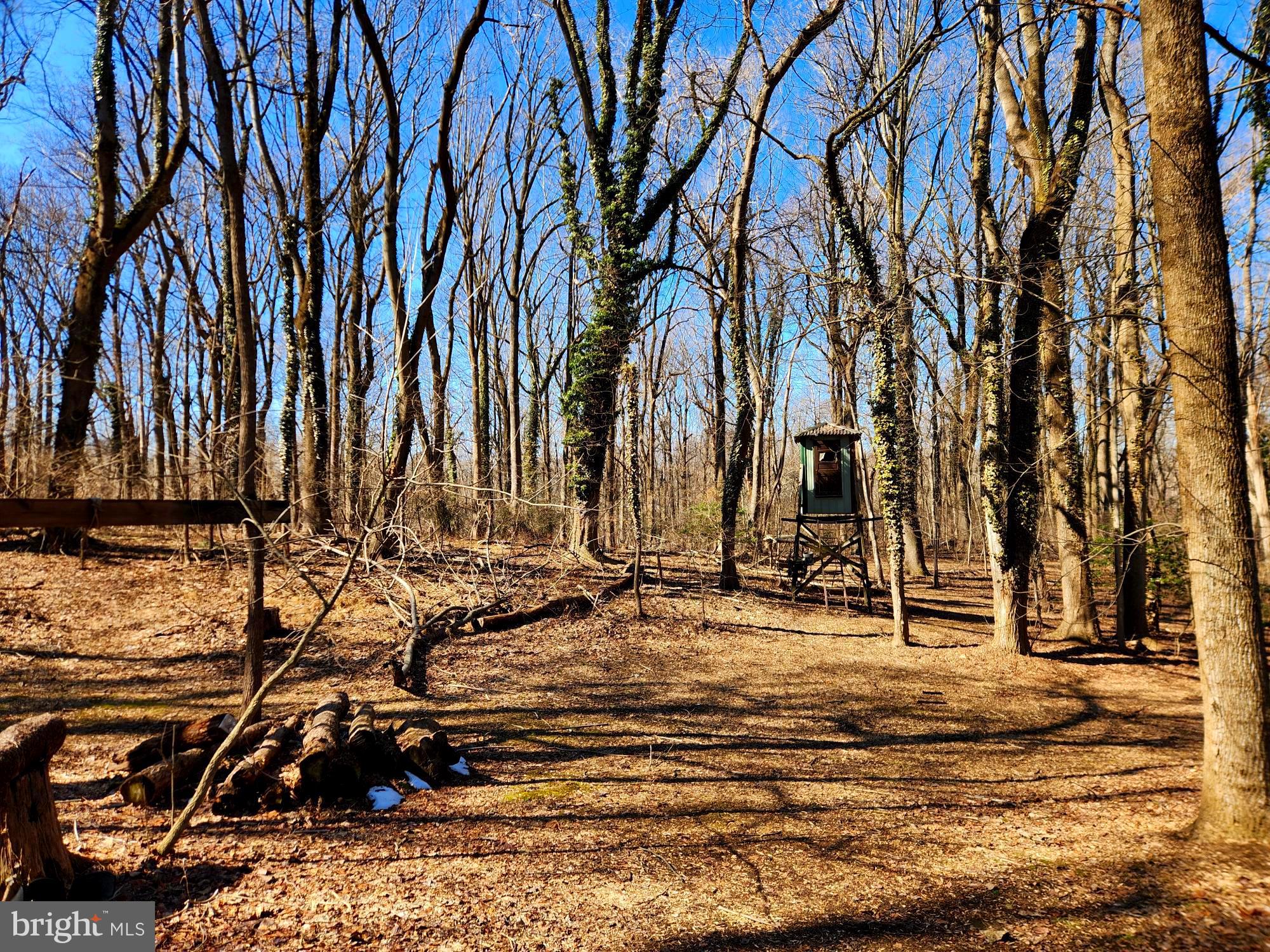 BETTERTON - Residential