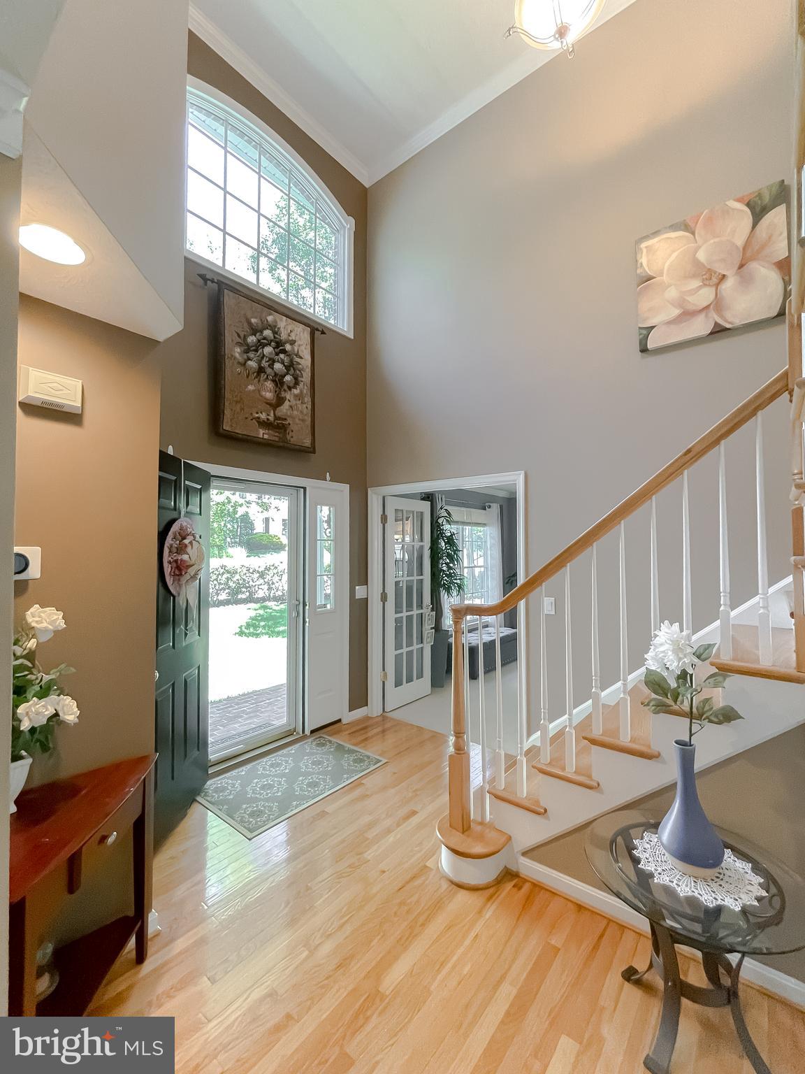 MISTY POND OF WILDEWOOD - Residential