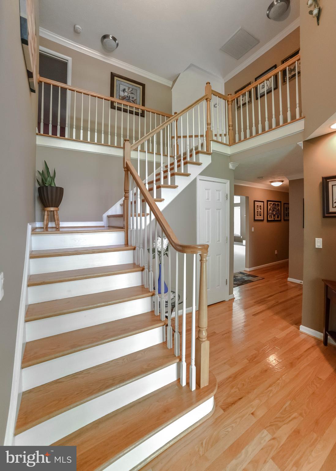 MISTY POND OF WILDEWOOD - Residential