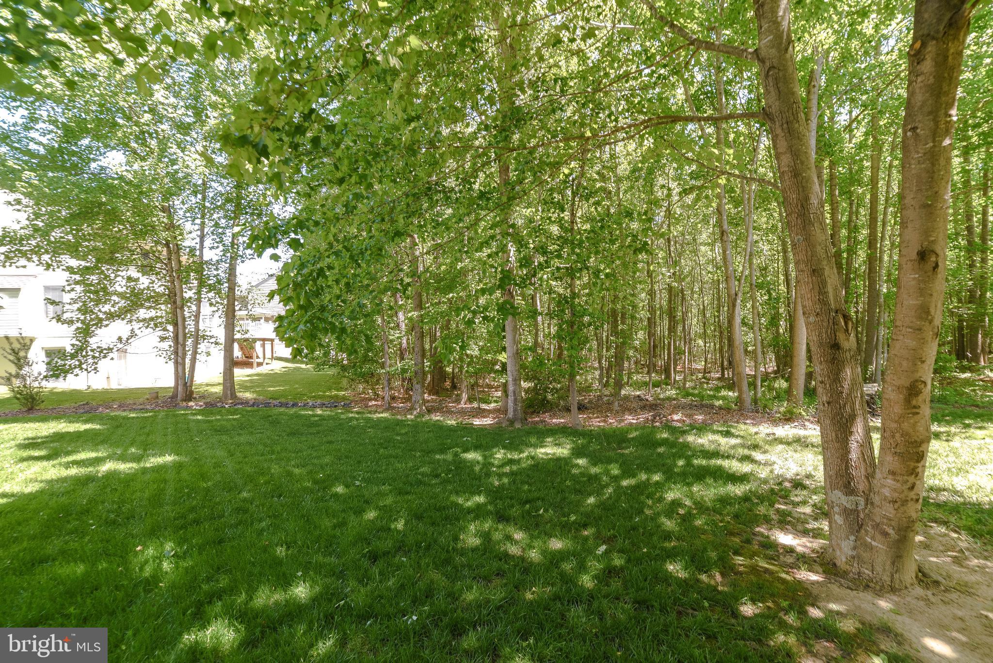 MISTY POND OF WILDEWOOD - Residential