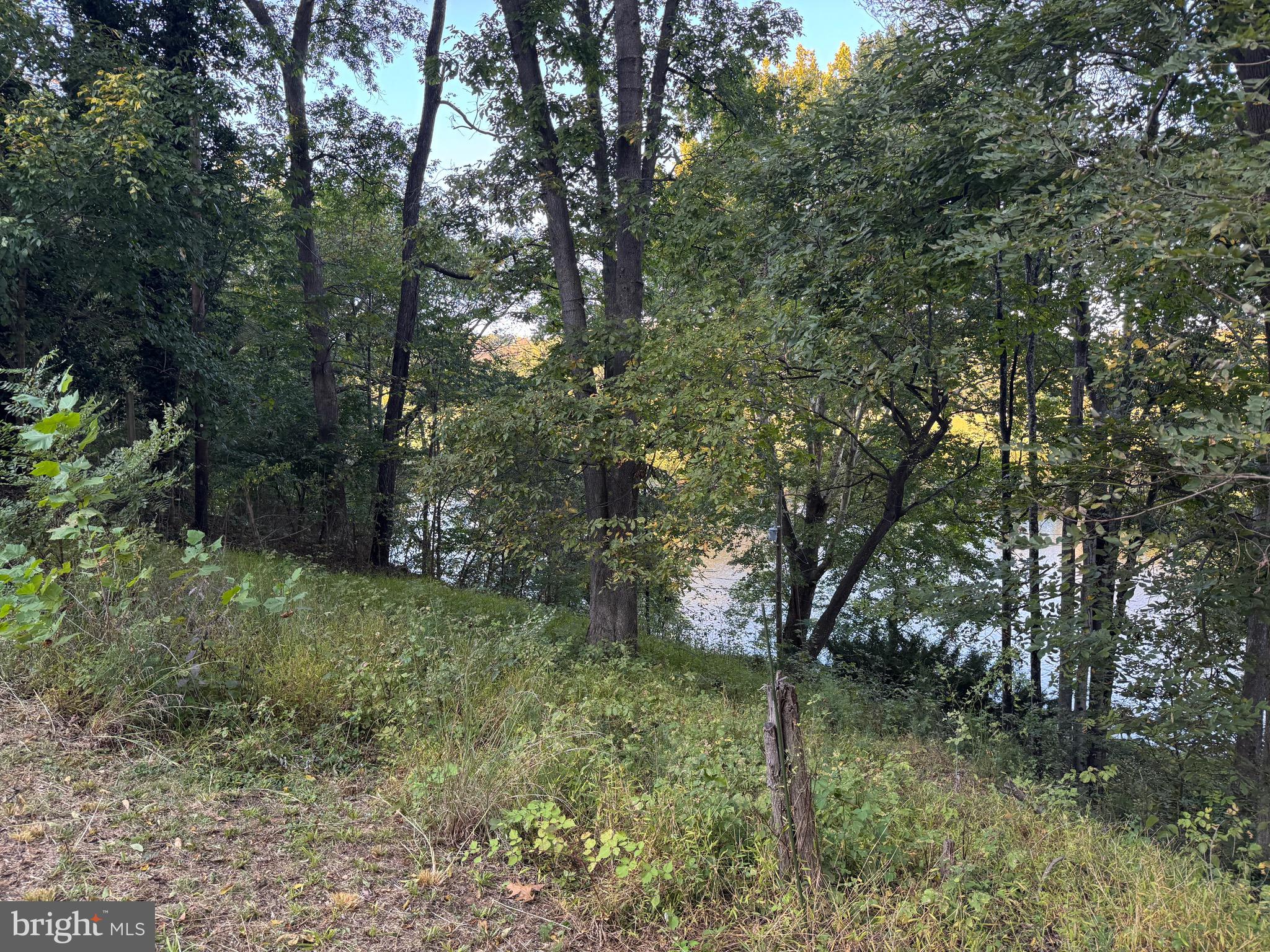 SHEN SHORES - Residential