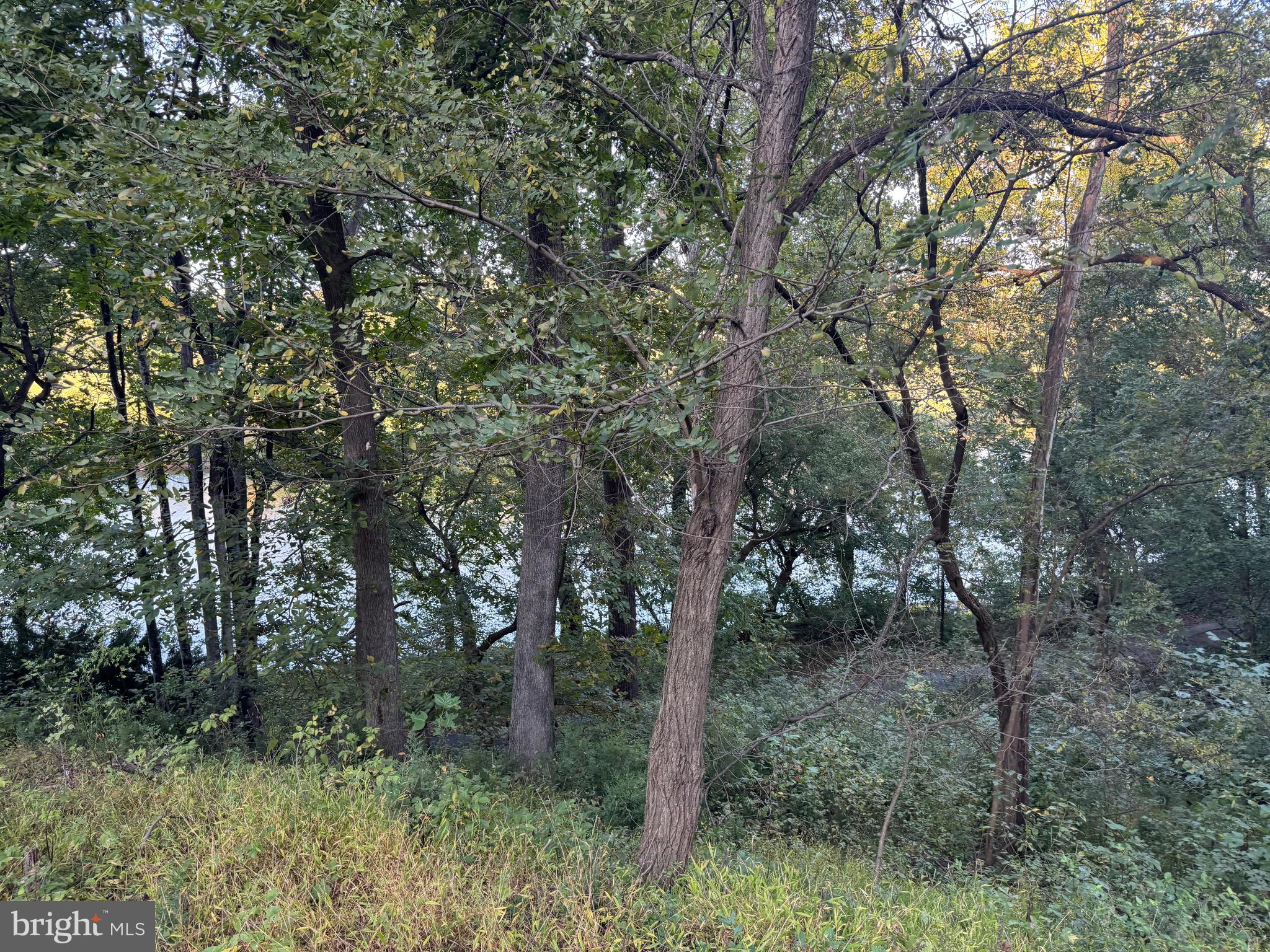 SHEN SHORES - Residential