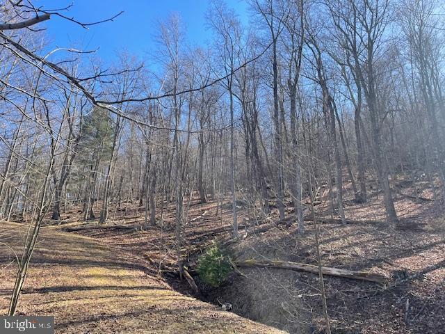 LOST RIVER BLUFFS - Land