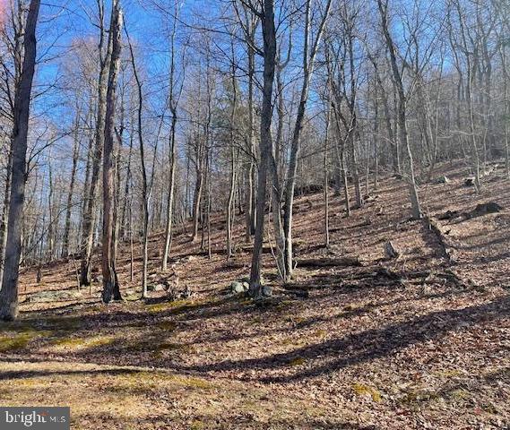 LOST RIVER BLUFFS - Land