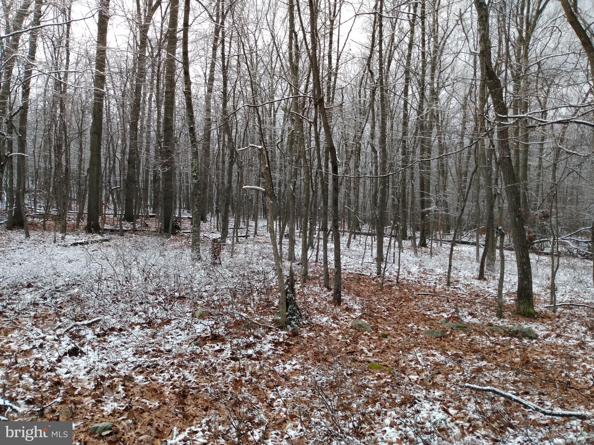 CACAPON HIGHLANDS - Land